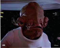 звездюк опознан