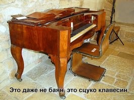 Кенгуру на самом деле не переводится как "я не знаю"