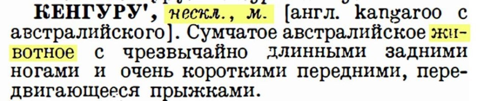 Кенгуру на самом деле не переводится как "я не знаю"