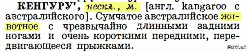 Кенгуру на самом деле не переводится как "я не знаю"