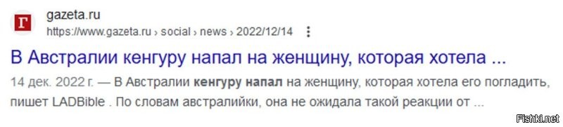 Кенгуру на самом деле не переводится как "я не знаю"