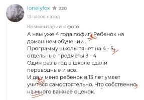 Вы тоже учились удалённо?