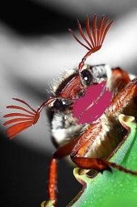 Нарколыги блин...