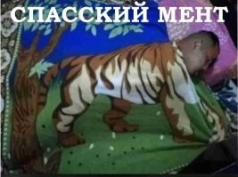 У меня тоже есть этот логоТИП