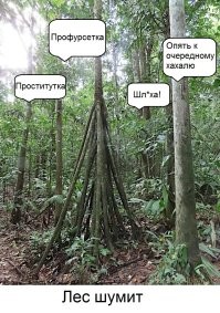 Странная "гулящая" пальма