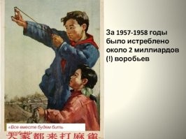 Можно вспомнить опыт товарища Мао. А то ишь, цельну тысячу тонн зерна склевали...