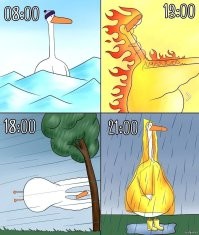 Тем временем в Москве