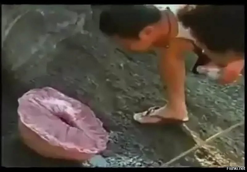 Есть и такой.