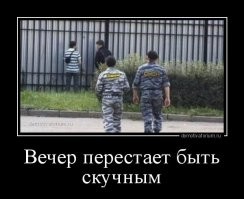 Что будет, если в Германии отлить под забором или в подворотне