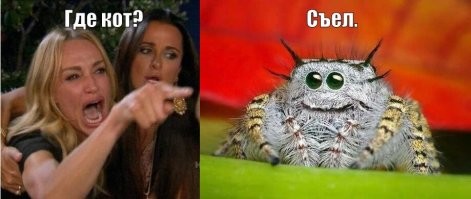 Картинка напросилась.