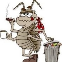 Вопрос - а почему именно насекомые на роль "манны небесной"? Природа давно создала "пищевую базу" - криль. Прекрасный источник всего, что надо и прекрасно разводится в искусственных условиях(не хуже тараканов). Ныне его вылавливают траулерами (лишая еды китов) но разводить криль в бассейнах будет проще чем устраивать ферму насекомых. И кстати - побег из бассейнов криля маловероятен и безопасен, а вот побег многих тонн насекомых с фермы (рано или поздно такое обязательно случится) будет эпичен, особенно рядом с городом.