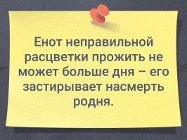 А как же