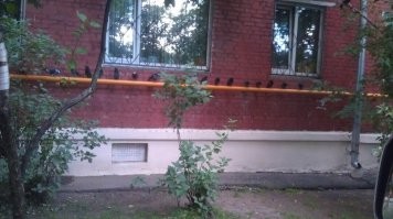 И правильно делают! 

Как же меня доставала соседка сверху, что с балкона голубей кормила! 

Сидишь на балконе, а тут на тебя сверху сыпется. Ветром всё это на тебя. 

Ну и загажено этими летучими крысами всё вокруг. 

.
.

Вот, сидят, ждут...