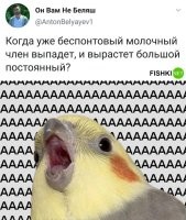 Дык ладно если так, а то норовит вырасти кривой, где-то сбоку и с глубоким кариесом.