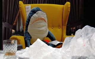 У побережья Флориды обнаружили акул-наркоманов