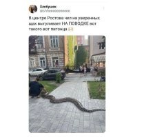 Понятно, программист на Питоне.