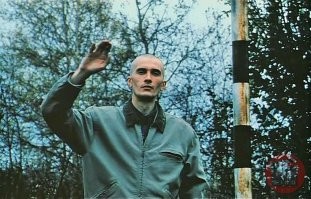 Восемь человек спасли с тонущей яхты в Финском заливе