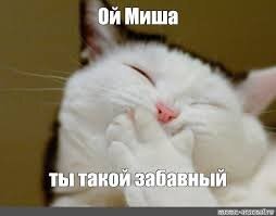 Медведь залез во двор дома ради качелек
