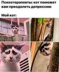 Комментарии и картинки из соцсетей. Свежак за 22 июля