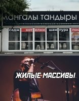 А кота с елками зачем продают?..