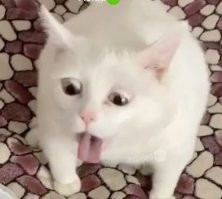 Произносить через