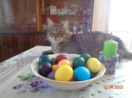 -Батюшка, а можете моего покойного кота отпеть?- Не богохульствуйте. -А я Вам пачку денег принес. - А-аааааа, так что же Вы сразу не сказали, что он крещенный.