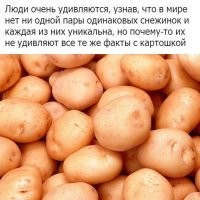 Фотоприколы и&nbsp;прикольные картинки