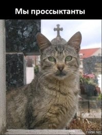 Забавные и жизненные демотиваторы