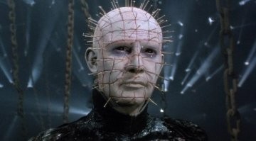 Птицы научились использовать шипы, созданные для их отпугивания