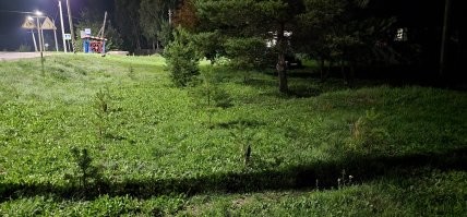 15 захватывающих фотографий, которые показывают, как прекрасен мир