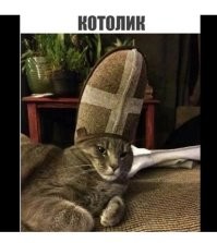 Забавные и жизненные демотиваторы