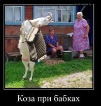 Вот, что есть.