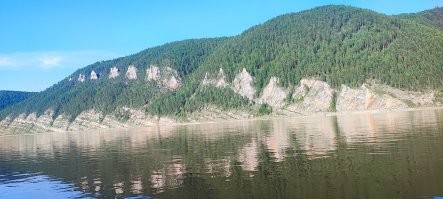 сто раз проезжая мимо одного места, только в 101 раз понял что это окаменевший позвоночник динозавра и его хвост...