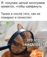 Пффф. Это уже сразу после того, как из магазина принёс.