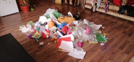 Это я только с полу смел в кучу пока жена в роддоме второго рожала.