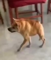 Намешалось