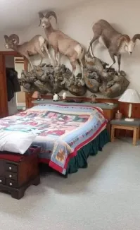 Только начинаешь засыпать и вдруг на тебя падает какой-то козёл