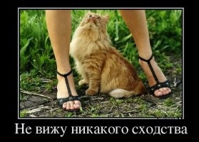 И что там такого интересного, чего нет на пляже.