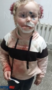 А все псины знают федеральные законы?