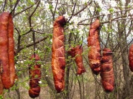 40% американских детей думают, что хотдоги, бекон и гамбургеры — это растения