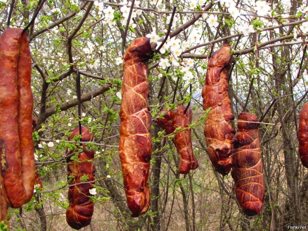 40% американских детей думают, что хотдоги, бекон и гамбургеры — это растения