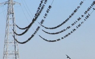 Во Владивостоке яхта неудачно сманеврировала и оставила без света 26 тысяч человек