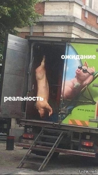 Лишь о политике