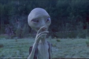 Примеры тизерной рекламы, похожей на бред сумасшедшего