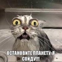 всё что понял :  
Россияне из "Тик-Тока" , прочитав в аккаунте "Samsung в Instagram*", сильно обеспокоены тем какой "котик" снимется в  рекламном ролике Samsung Neo 8K....
видимо в реальном мире людей остаётся всё меньше (если у кошек уже миллионы беспокойных подписчиков)

*запрещены в РФ
Источник:  @ fishki.net