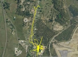 Хозяину надо рассказать про проект "где гуляет кошка" с данными GPS ошейника.