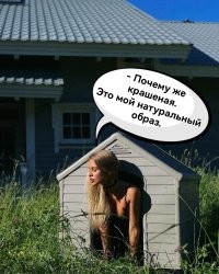 Пожалуй, хватит на сегодня интернета: подборка слишком странных фотографий