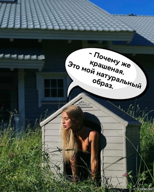 Пожалуй, хватит на сегодня интернета: подборка слишком странных фотографий