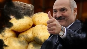 Самокатчиков начали штрафовать за превышение скорости. Пока только в Белоруссии