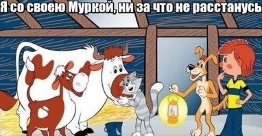 Китайский фермер поселил своих коров на балконе